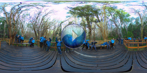 Bosque Los Arrayanes em panorâmica 360°