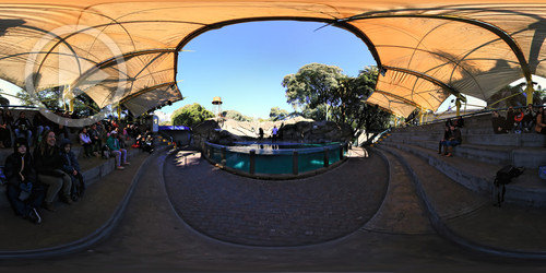 Zoo Buenos Aires em 360°
