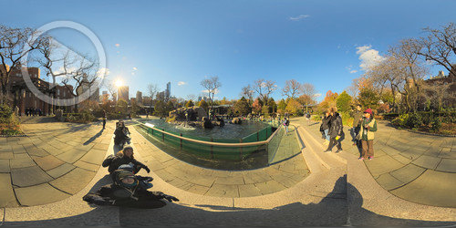 Focas no Zoo Central Park em 360°