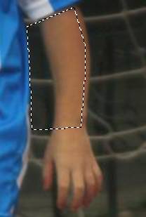 gimp-iwarp_selecao2.jpg gimp-iwarp_selecao2.jpg