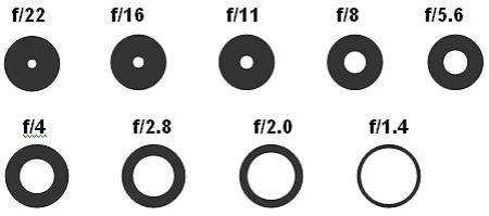 diafragma_imagem1.jpg diafragma_imagem1.jpg